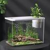 Clear Plastic FishTank With Secure Lid and Water Plant Holder For Goldfish Home Desktop Decoration Aquarium Tanks
