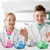 Kids Crystal Growing Kit DIY Science Experiment For Teenagers Boys Toys Magical Funny Crystal Educational Stimulates Interest