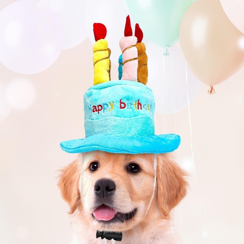 Birthday Theme Birthday Cake Hat Cake Shape Pet Headwear Cap New Puppy Kitten Hat  Party Decor
