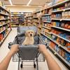 Portable Pet Stroller Cushion Cover Waterproof Shopping Cart Pet Cover  Grocery Cart