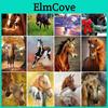 Diamond 5d Horse Diy Painting Full Round Mosaic Animal Diamont Embroidery Cross Stitch Rhinestone Handmade Home Decor