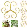 5Pcs Plant Stem Support Reusable Monstera Plant Support Plant Stabilizer for Thriving Growth