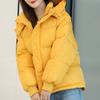 Winter Women  Down Cotton Coat Women Solid Loose Padded Jacket Puffer Parkas Casual Female Zipper Thickening Warm Outwear