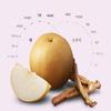 Kwangdong Bellflower Root Pear Ssanghwa Stick 100 палочек 1000 мл
