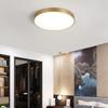 Modern LED Ceiling Light Lamp Simple Golden Round For Bedroom Corridor Garage Cloakroom Aisle Balcony Study Lighting Fixtures