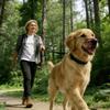 1.5‑50M Adjustable Long Pet Training Lead Personalized Dog Cat Leash Rope For Small To Large Breed Outdoor Walking Training