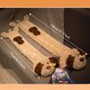 Extra Long Hot Water Bag Cartoon Water Injection Bag Cute Plush Warmer  Home