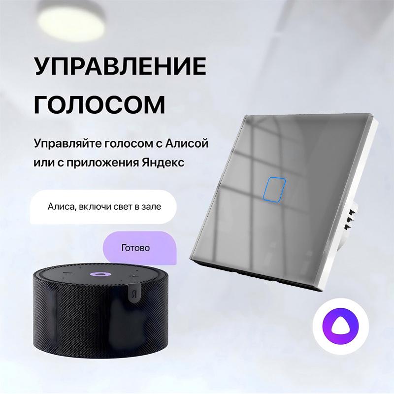 Умный WiFi-выключатель стандарта ЕС с голосовым управлением Алисой для умного дома