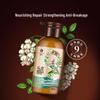 Fenghua Jiuzun Hair & Scalp Strengthening Essence