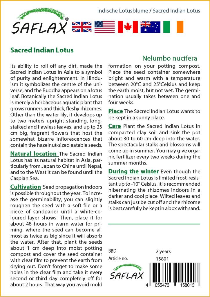 SAFLAX Garden in the Bag - Священный индийский лотос - 8 семян - С субстратом в подходящем пакете - Nelumbo nucifera