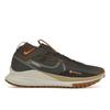 React Pegasus Trail 4 GORE-TEX Anthracite Ale Brown Мужские кроссовки Black Ironstone Bright-Mandarin FD5841-001