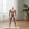 Подвижная мужская фигурка, голова снята, Позабельная фигурка, Матовая, Действие для кастомайзеров,