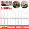5-20Pcs Automatic Plant Watering Bulb PVC Transparent Waterer Self Watering Bulbs Home Garden Plant Dropper Drip Irrigation