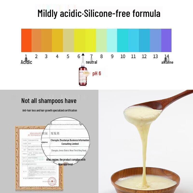 Zhuolanya Ginger Anti-Hair Loss Shampoo & Conditioner Set