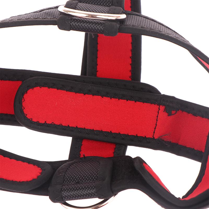 Neck Strength Exerciser For Weight Training Neck Workout Training Equipment Head