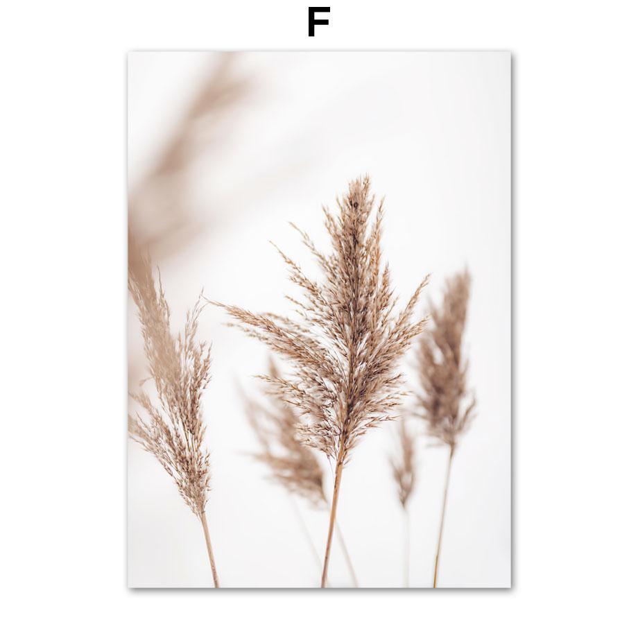 Бежевый тростник орхидея велосипед пейзаж плакаты и принты холст картины настенные художественные картины для гостиной домашний декор эстетика