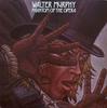 Виниловая пластинка WALTER MURPHY Призрак Оперы 3C06461287 Private Stock 1978 Италия Танцевальная Электроника Б/у