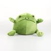 Ricky Rain Frog Cartoon Frog Doll Multi Color Pillow Soft Plush Toy Solitary