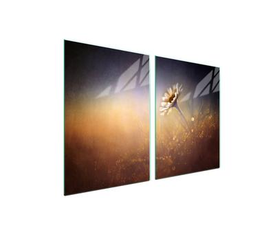 Glass Protective Plate for the Stove 2x45x52 Flower