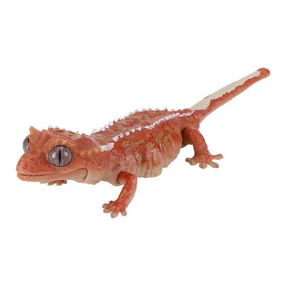 Genuine Gacha Scale Figure Great Biological Encyclopedia Series Reptiles Armadillos Guard Lizards Action Figure Toys