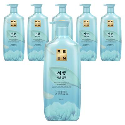 Шампунь для волос Lien Jayun Seohyang Oriental Medicine, 950 мл, 6 шт.