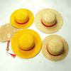 Luffy Anime Peripheral Straw Hat Group Two-Dimensional Anime Original Hat Sunshade Sunscreen Best Birthday Gift