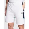 Спортивные шорты Sergio Tacchini Ginnico