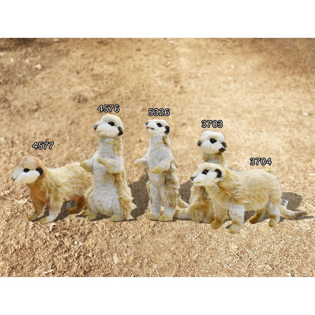 HANSA Meerkat No.3703 Meerkat No.3703