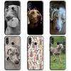 Чехол для телефона Huawei Nova Y61 Y70 Y90 Y60 Y72 Y91 12s 12i 11i 7i 8i 9 10 SE P60 Pro P30 P40 Lite с изображением собаки Веймаранер