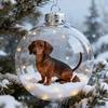 3D Animal Christmas Ball Ornament Funny Dog/Cat/Turtle Hanging Decoraton Clear Plastic Xmas Balls Ornament for Winter Holiday Tree Decor