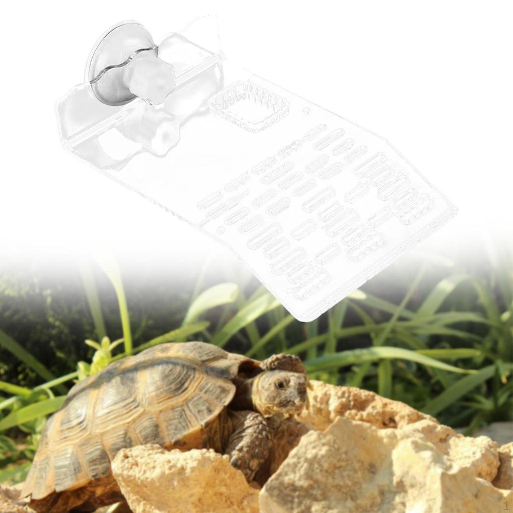 Платформа для купания черепахи Акриловые украшения Аксессуары Многоцелевая терраса для отдыха рептилий