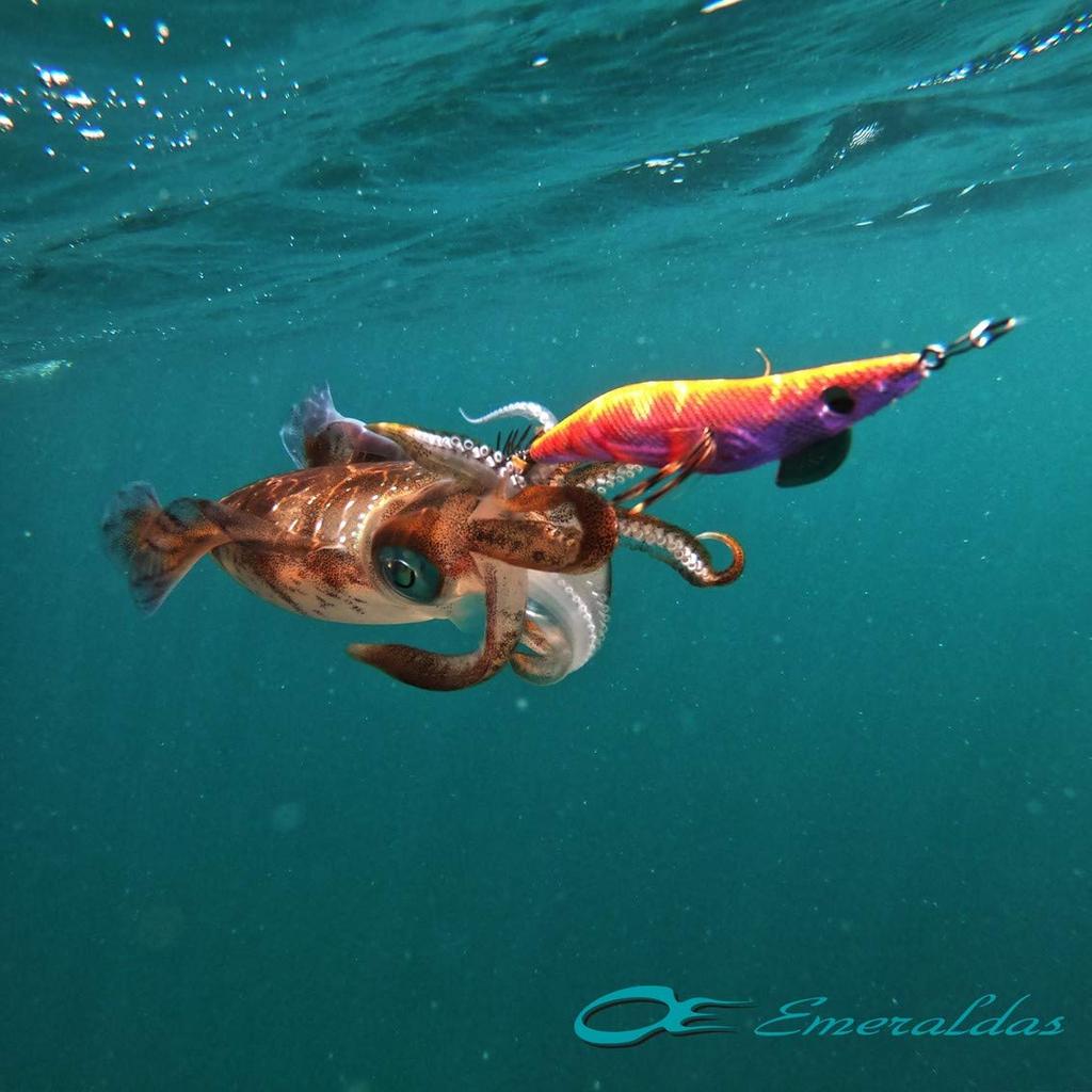 Daiwa Emeraldas Dart 2 Type SS Squid Luminous Orange Shrimp 3.5