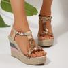 Женские модные сандалии на танкетке Лето 2025 Плетеный ремешок Платформа Гладиаторские сандалии Женские на толстой подошве Пляжная обувь Женские сандалии