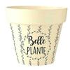 [Q6397] - 'Messages' Bamboo Planter Beige Black (beautiful Plant) -  13. 5x15cm