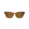RB2201 Striped 54 Ray-Ban Men's Sunglasses, 954/33 Havana/Brown Lens,