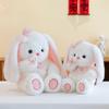 Plush Bunny Toy Cute Cartoon Butterfly Girl Children Birthday Holiday Gift Doll