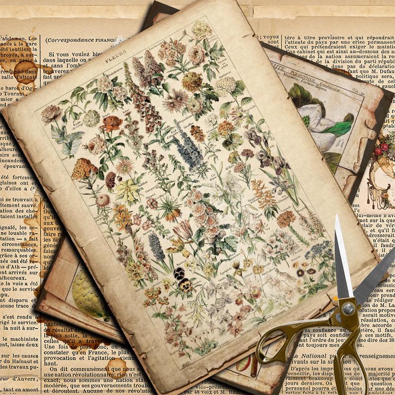 Ретро Потертая Страница Книги с Растениями 14x18см Материал Бумага для Журнала Коллажа Декора, 10 Листов