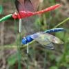 5/10PCS Creative Lawn Ornament Yard Artificial Dragonfly With Stem Thin Stick Simulation Butterfly