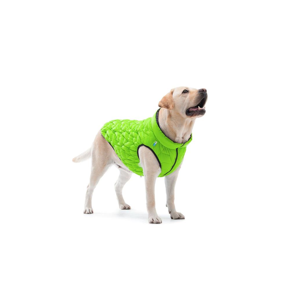 Uno Jacket for Dog