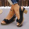 Ladies Shoes 2025 New Buckle Strap Women's Sandals Floral Casual Summer Hollow Out Plus Size Shallow Heeled Sandals