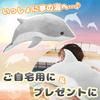 Plush Sea Creature Hugging Extra Soft and Made with PP Perfect Gift Toy, Cushion, Pillow, Large, Squishy, Cotton, (Dolphin, 70cm)