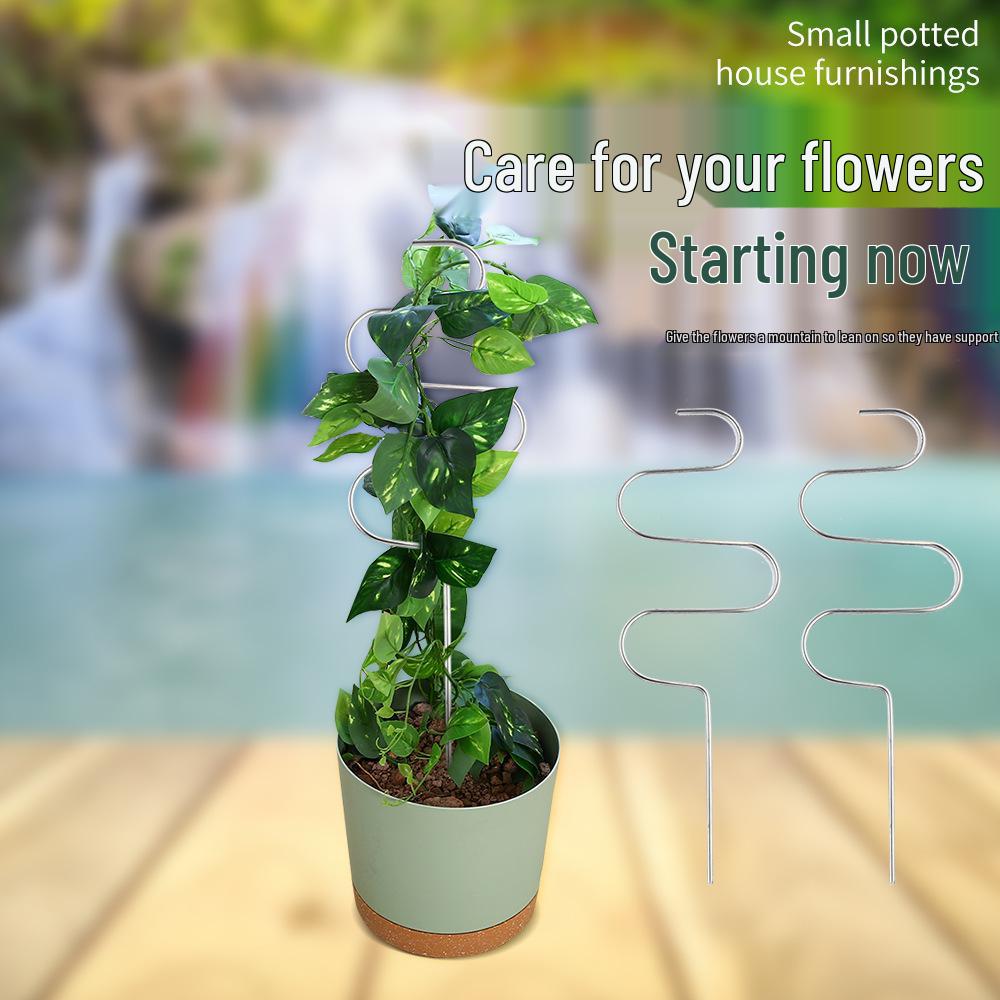 Stainless Steel Indoor Plant Support Frame with Leaf Protector