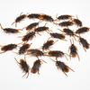 10Pcs Simulation Cockroach Toys Prank Props Prank Funny Scary Fake Cockroach Toys Creative Horror Scene Decoration Ornaments