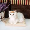 Играйте с вами, имитация кошки, домашняя фотография, игрушка для декора окна автомобиля