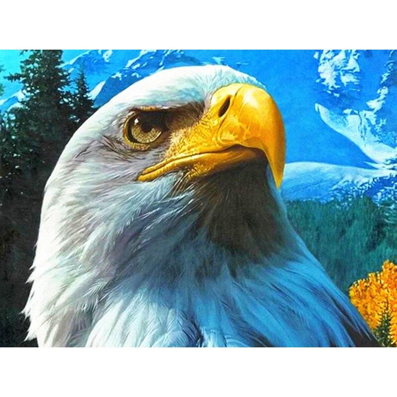 Новый 5D DIY алмазная живопись голова орла Алмазная вышивка животных вышивка крестиком полная круглая дрель домашний декор ручной художественный подарок