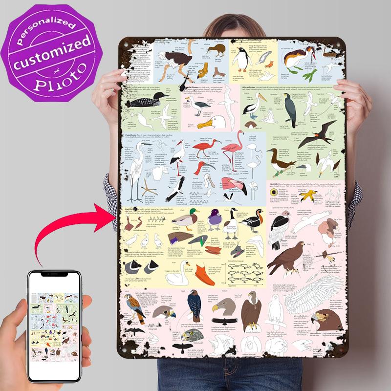 Drawing Birds Catalogue Poster Retro D Printed Metal Signs Customized Wall Hanging Gift for Desk Decor Room Home and Decoration