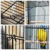 Metal and Plastic Bird Cage with Perches, Swing and Bowls, 46.5x35.5x92 cm, Black