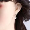 Artificial Pearl Temperament Gifts Korean Dangle Earrings Women Stud Earrings Drop Earrings Metal