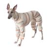 Sunset Pet Hooded Hat Plush Four Legged Jacket New Plush Coat  Small Dogs