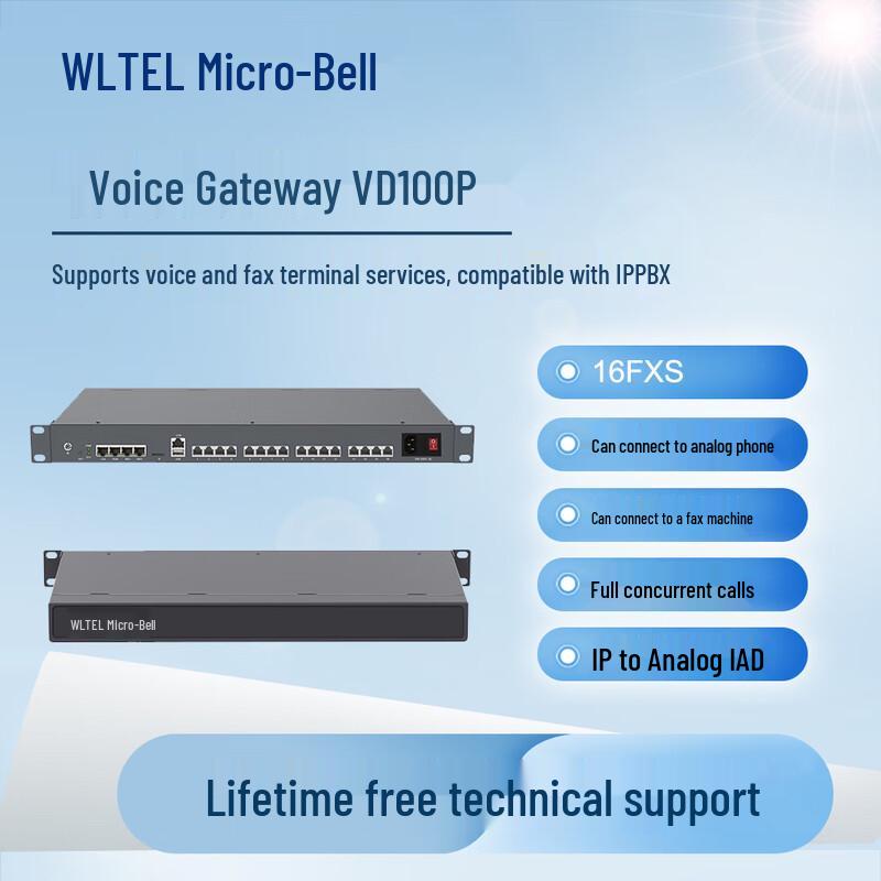 Wei Ling VD100P IP Voice Gateway & Analog Phone Adapter (CN version)